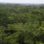 listing image thumbnail with ID 66287