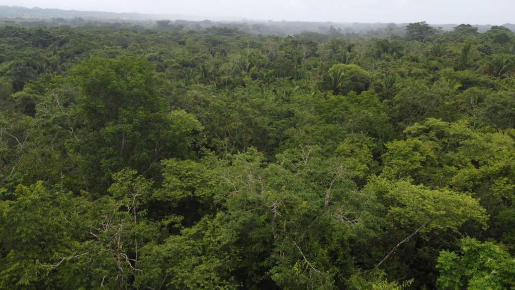 listing image with ID 66287