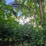 listing image thumbnail with ID 64210