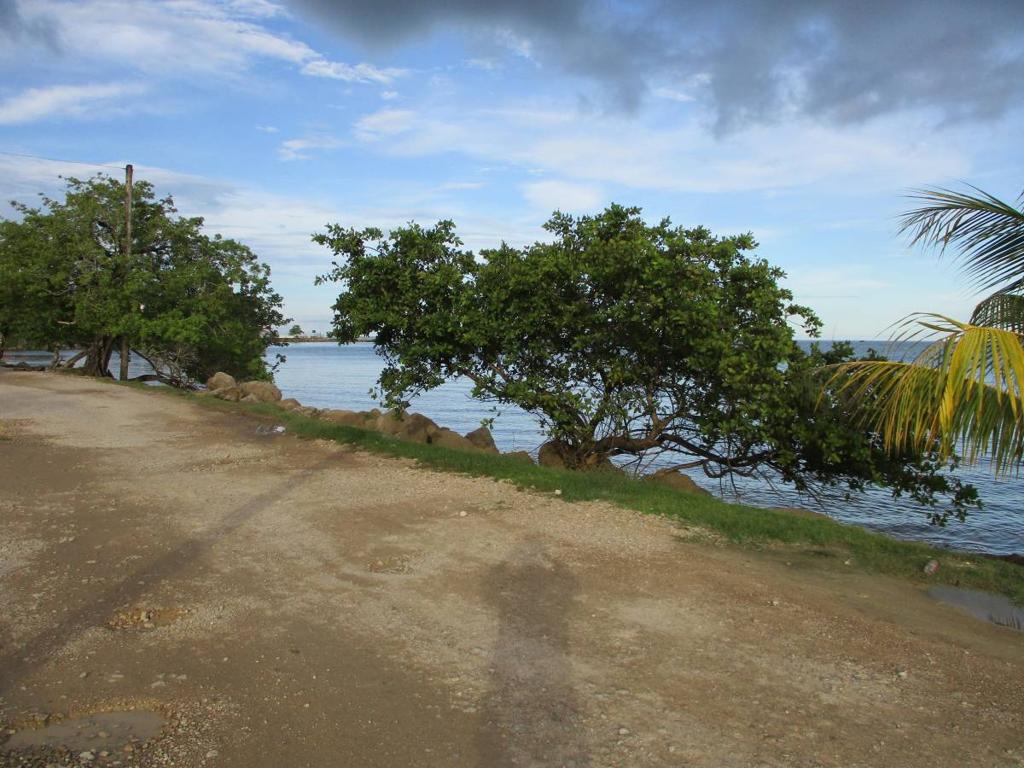 listing image with ID 64165