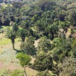 listing image thumbnail with ID 64941