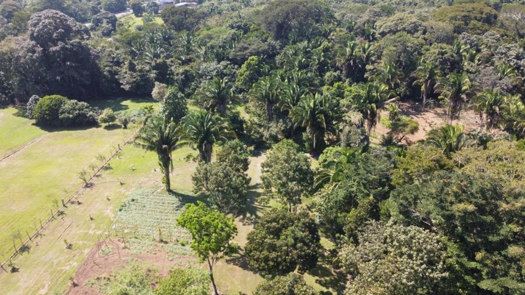 listing image with ID 64941