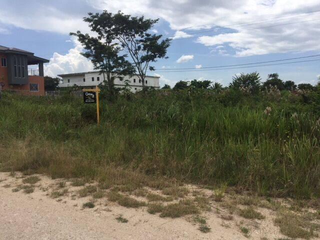 listing image with ID 65006