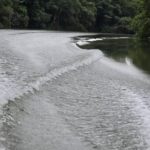 listing image thumbnail with ID 65438