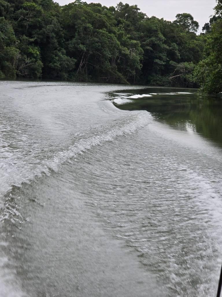 listing image with ID 65438