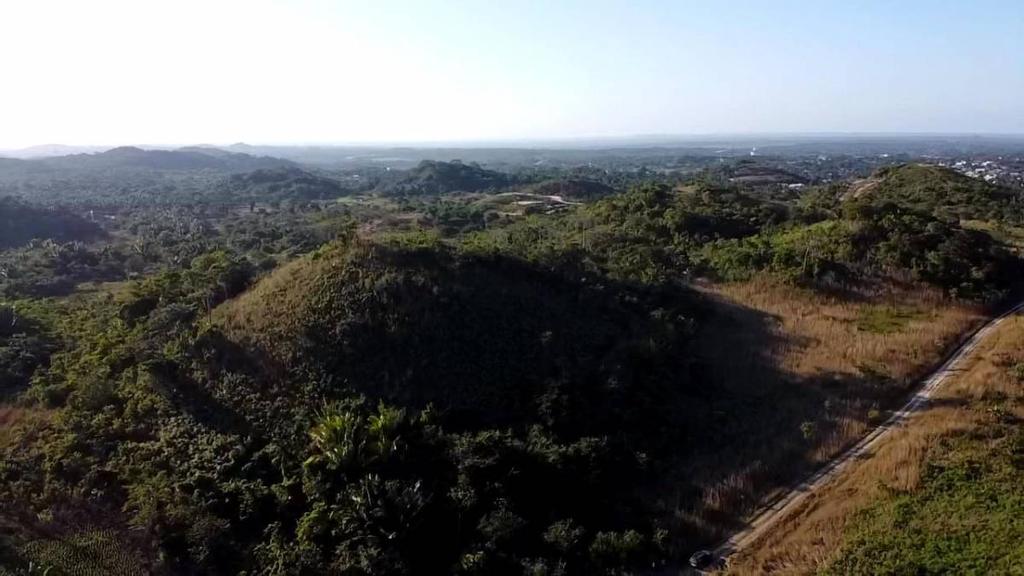 listing image with ID 65196