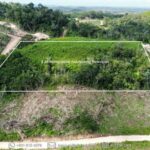 listing image thumbnail with ID 67378