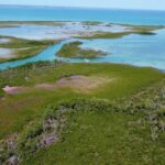 listing image thumbnail with ID 65989