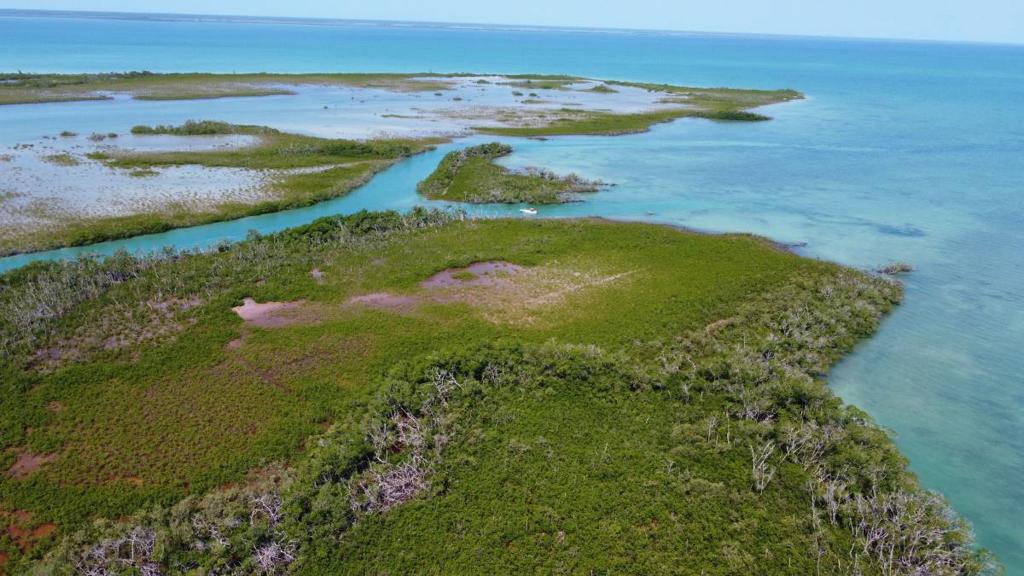 listing image with ID 65989