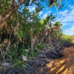 listing image thumbnail with ID 63861