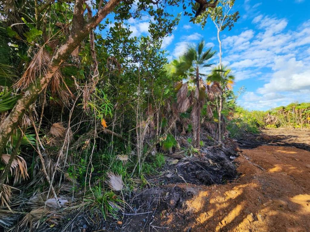 listing image with ID 63861