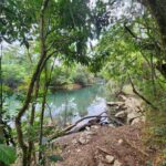 listing image thumbnail with ID 69195