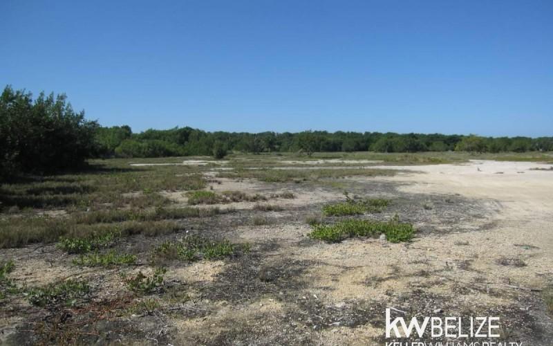 listing image with ID 69341