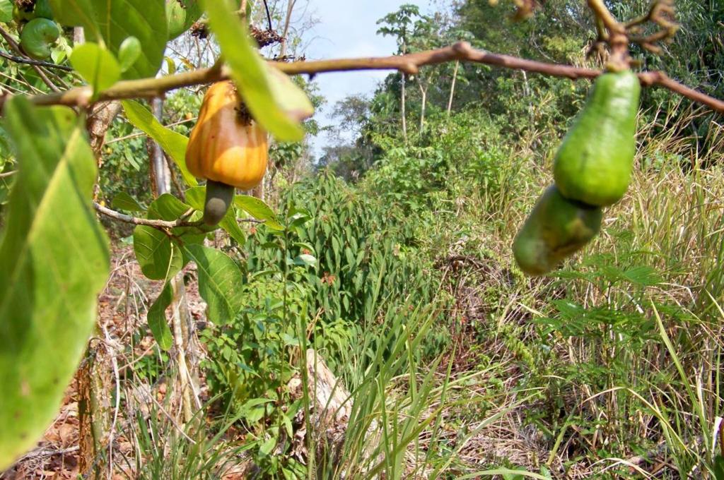 listing image with ID 67299