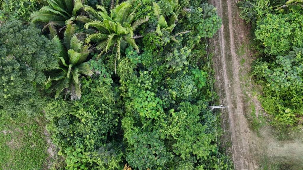 listing image with ID 67158