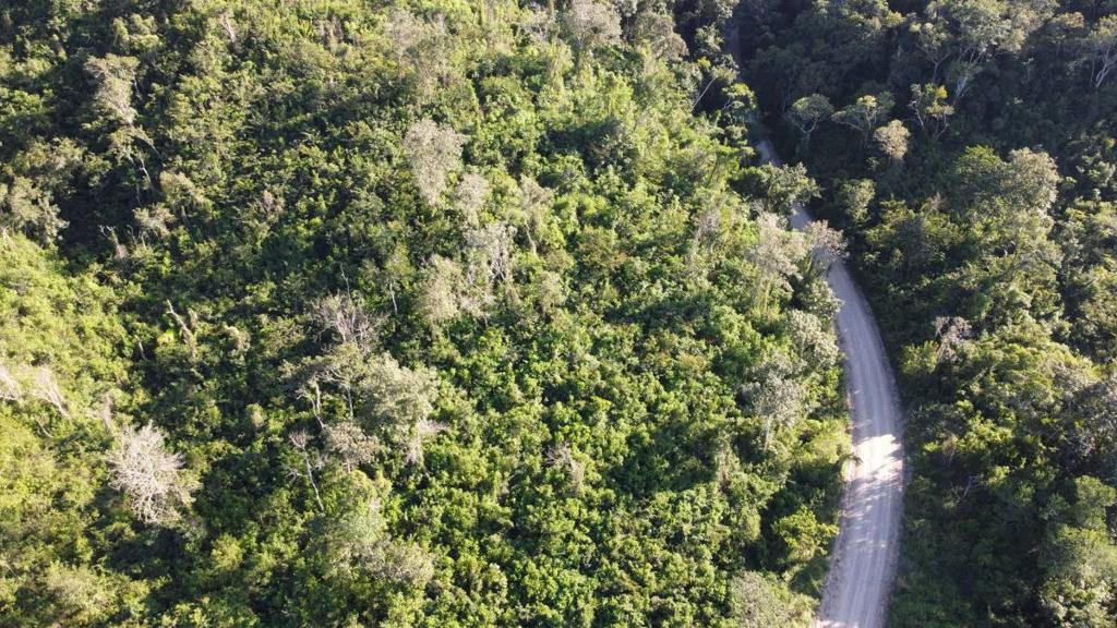 listing image with ID 67758