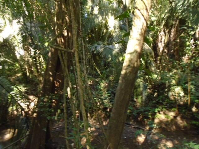 listing image with ID 64068