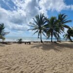 listing image thumbnail with ID 65729