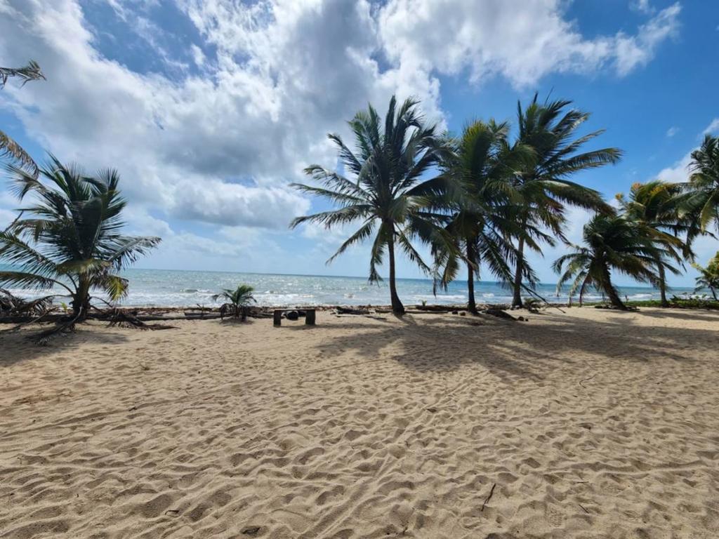 listing image with ID 65729