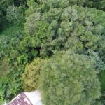 listing image thumbnail with ID 64243