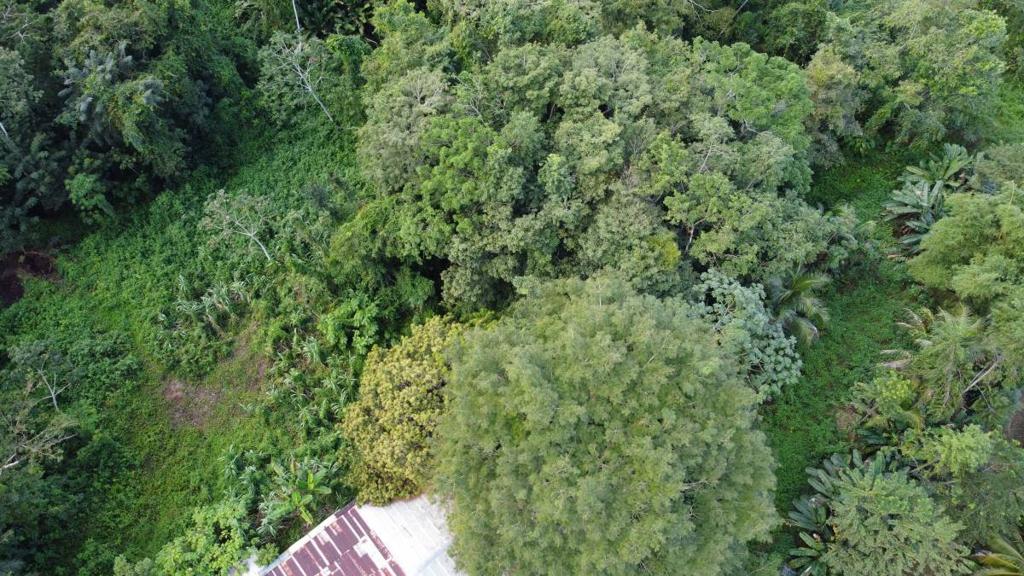 listing image with ID 64243