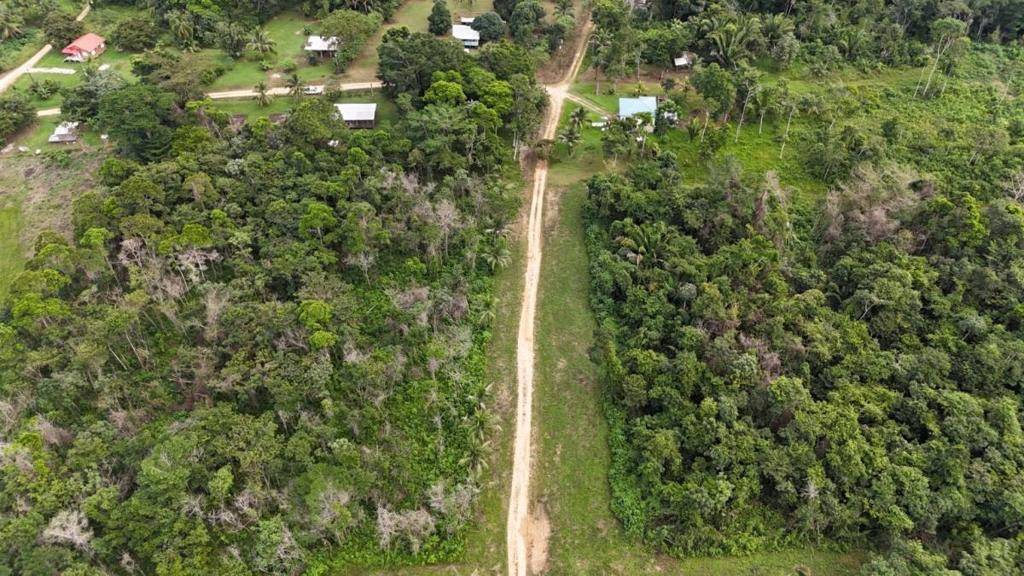 listing image with ID 66543