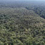 listing image thumbnail with ID 68074