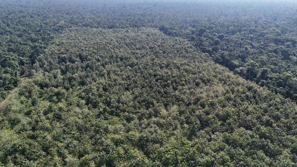 listing image with ID 68074