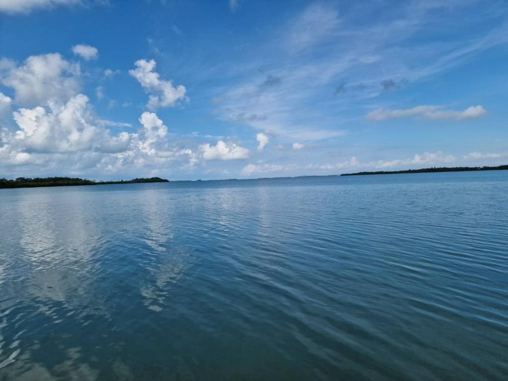 listing image with ID 64490