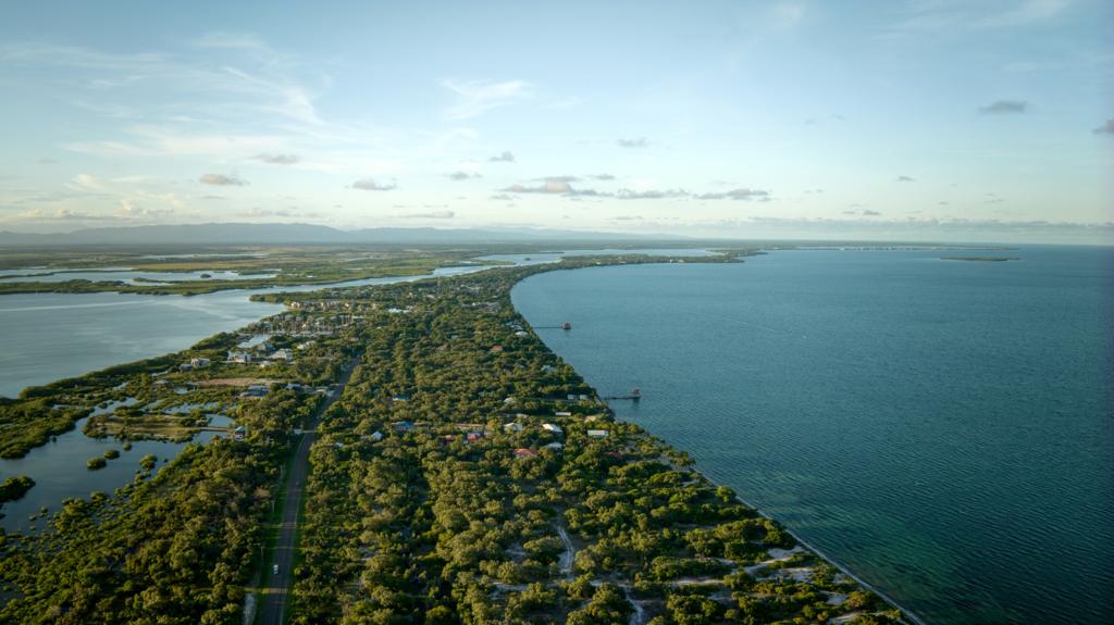 listing image with ID 68726