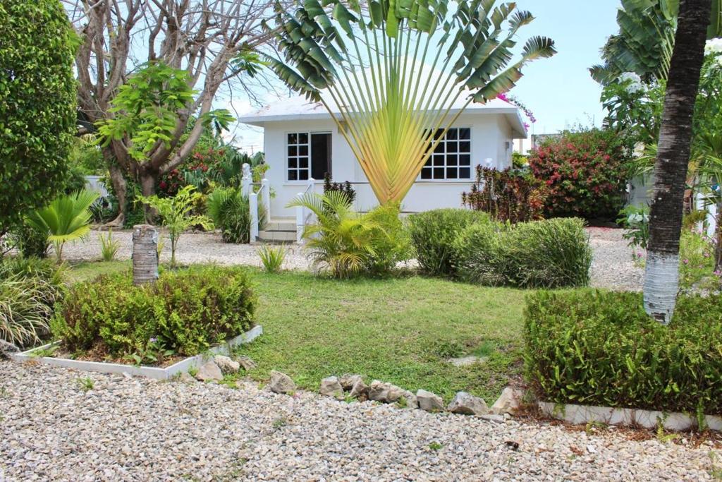 listing image with ID 67127