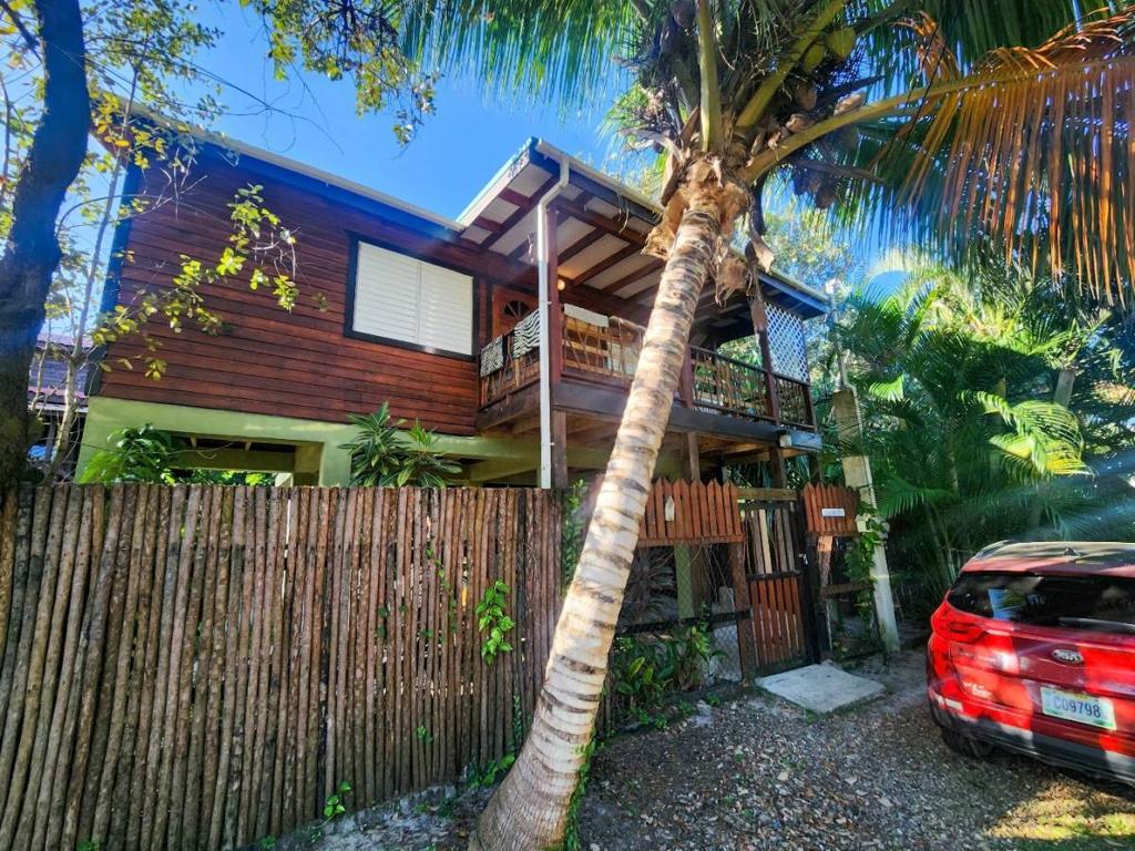 listing image with ID 66062