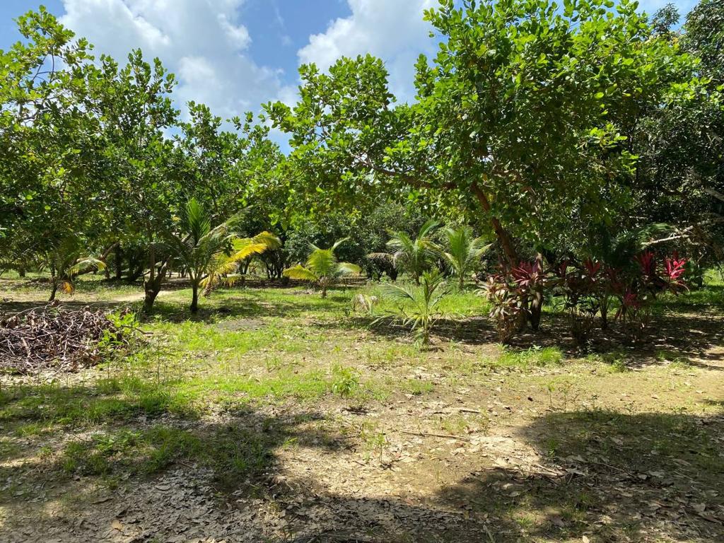 listing image with ID 67675