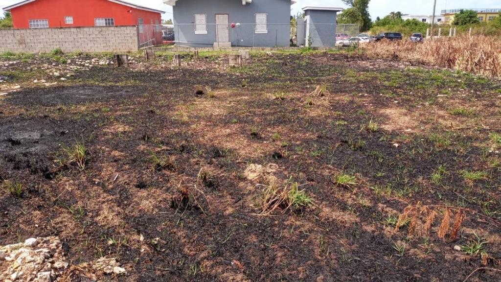 listing image with ID 66531