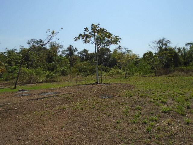 listing image with ID 64449