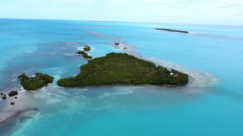 listing image with ID 65395