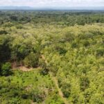 listing image thumbnail with ID 64230