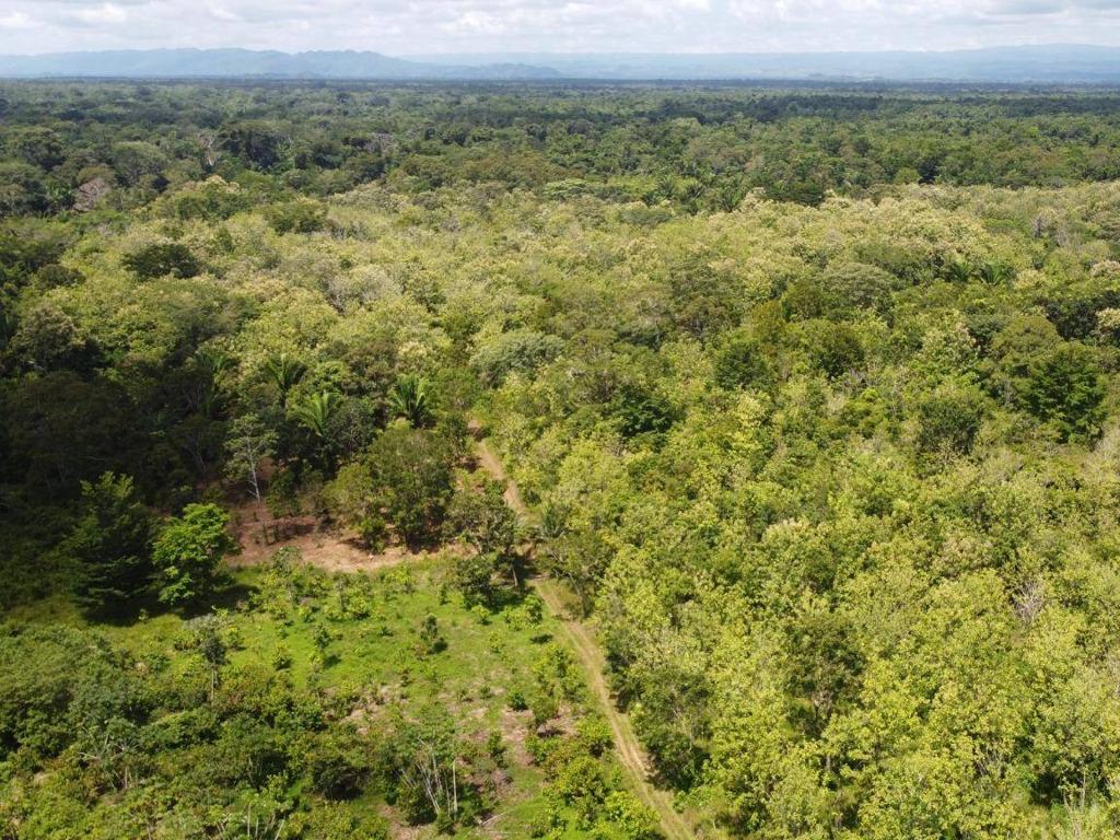 listing image with ID 64230