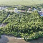 listing image thumbnail with ID 65177