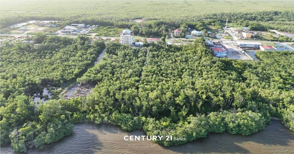 listing image with ID 65177