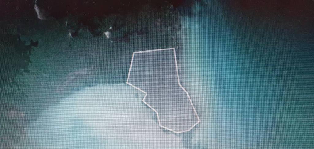 listing image with ID 64745