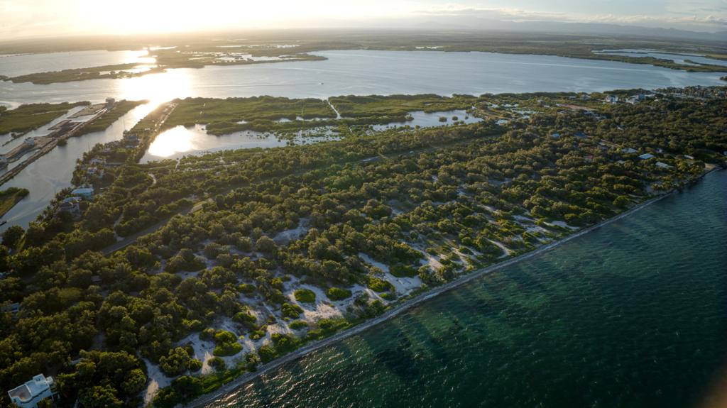 listing image with ID 68727