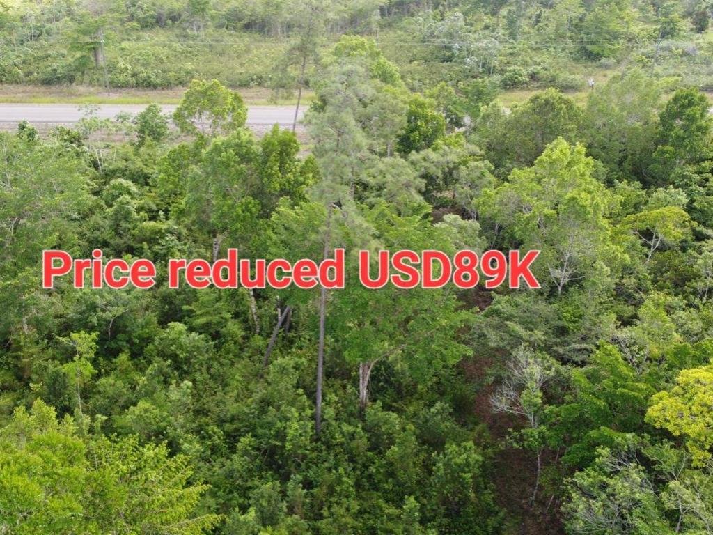 listing image with ID 63938