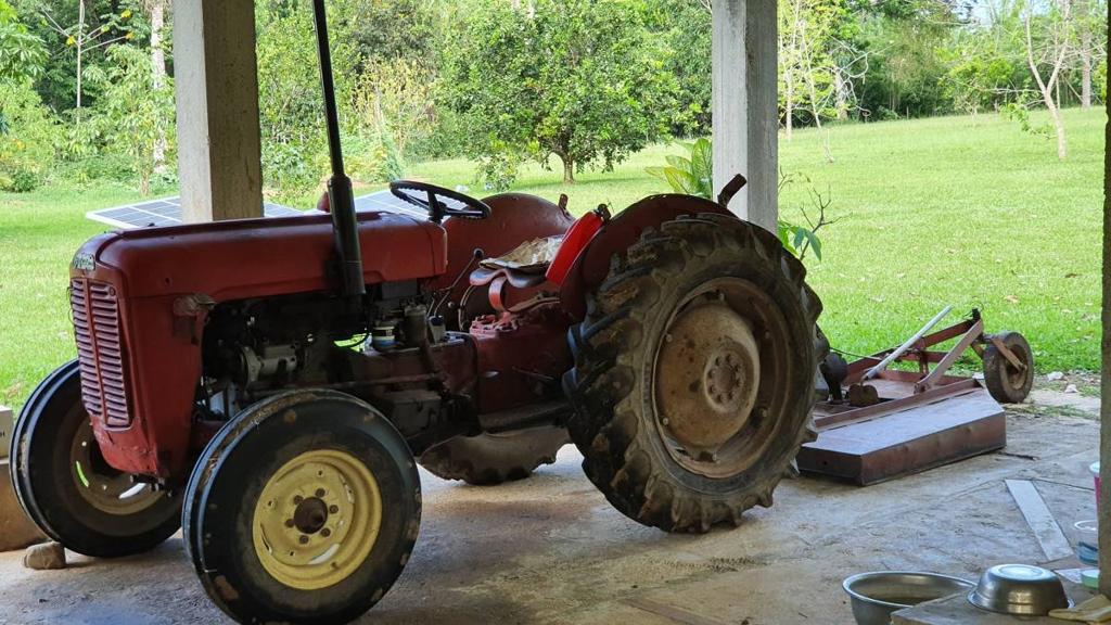 listing image with ID 67366