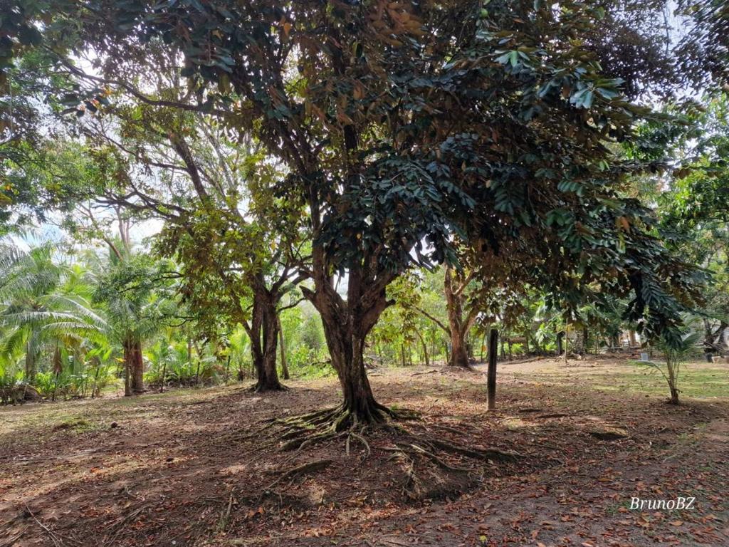 listing image with ID 67992