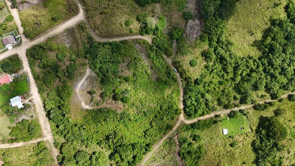 listing image with ID 63679