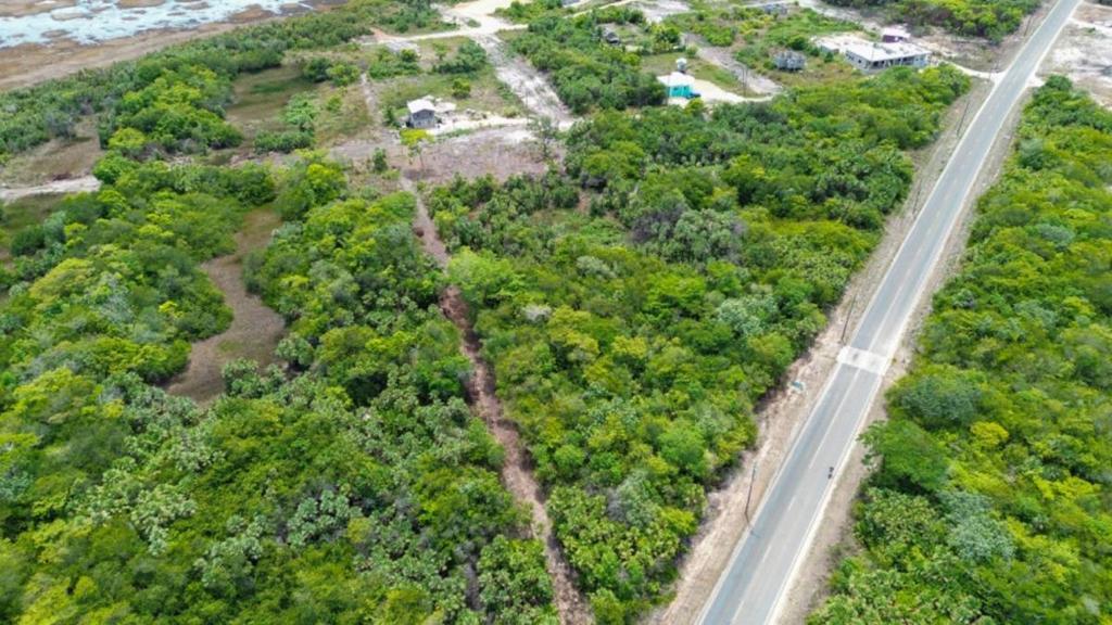 listing image with ID 66248