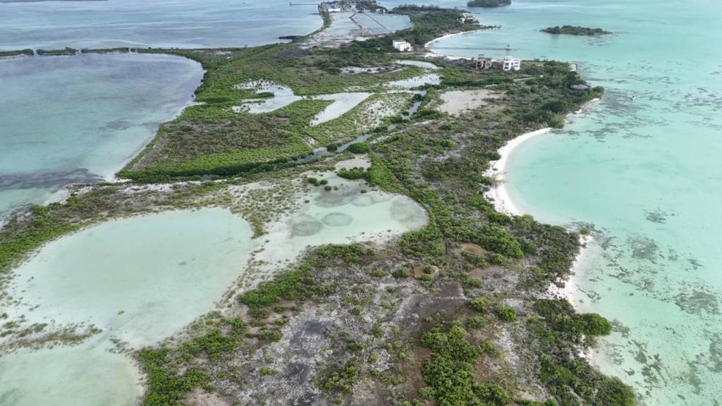 listing image with ID 66128