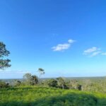 listing image thumbnail with ID 67034