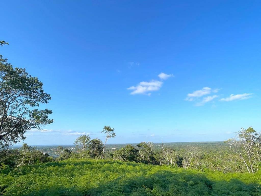 listing image with ID 67034